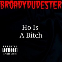 Ho Is a Bitch - Single - Broadydudester