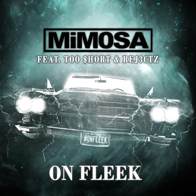 On Fleek (feat. Rej3ctz & Too $hort) - Single