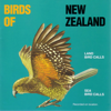 Birds of New Zealand - Morepork artwork