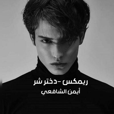 أيمن الشافعي - محسن لرستاني