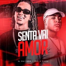 SENTA VAI AMOR Dj Barnabé & R10 O Pinta