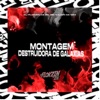 MONTAGEM DESTRUIDORA DE GALAXIAS (feat. MC SILVA ZN & MC Renatinho Falcão) - Single