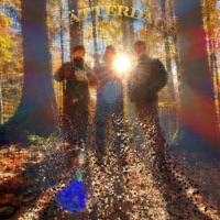 Blätterdach - Single - Bv2 & alibi