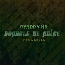 Bophelo Ba Potch (feat. LEV3L) Pwiddy HD