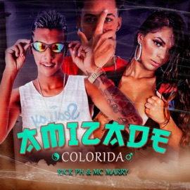 Amizade Colorida (feat. Mc Marry) Rick PH