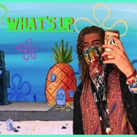 What's Up - Single - N-47