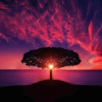 Seasons Change and So Do I - Single - Vihta