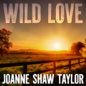 Wild Love artwork