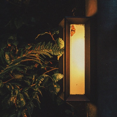 Summer Nights - Single