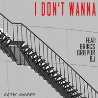 I Don't Wanna (feat. Brikcs, Greipur & BJ) - Single - Seth Sharp