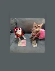 Listen to Damien Pereira, watch music videos, read bio, see tour dates & more!