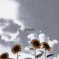 Sorry