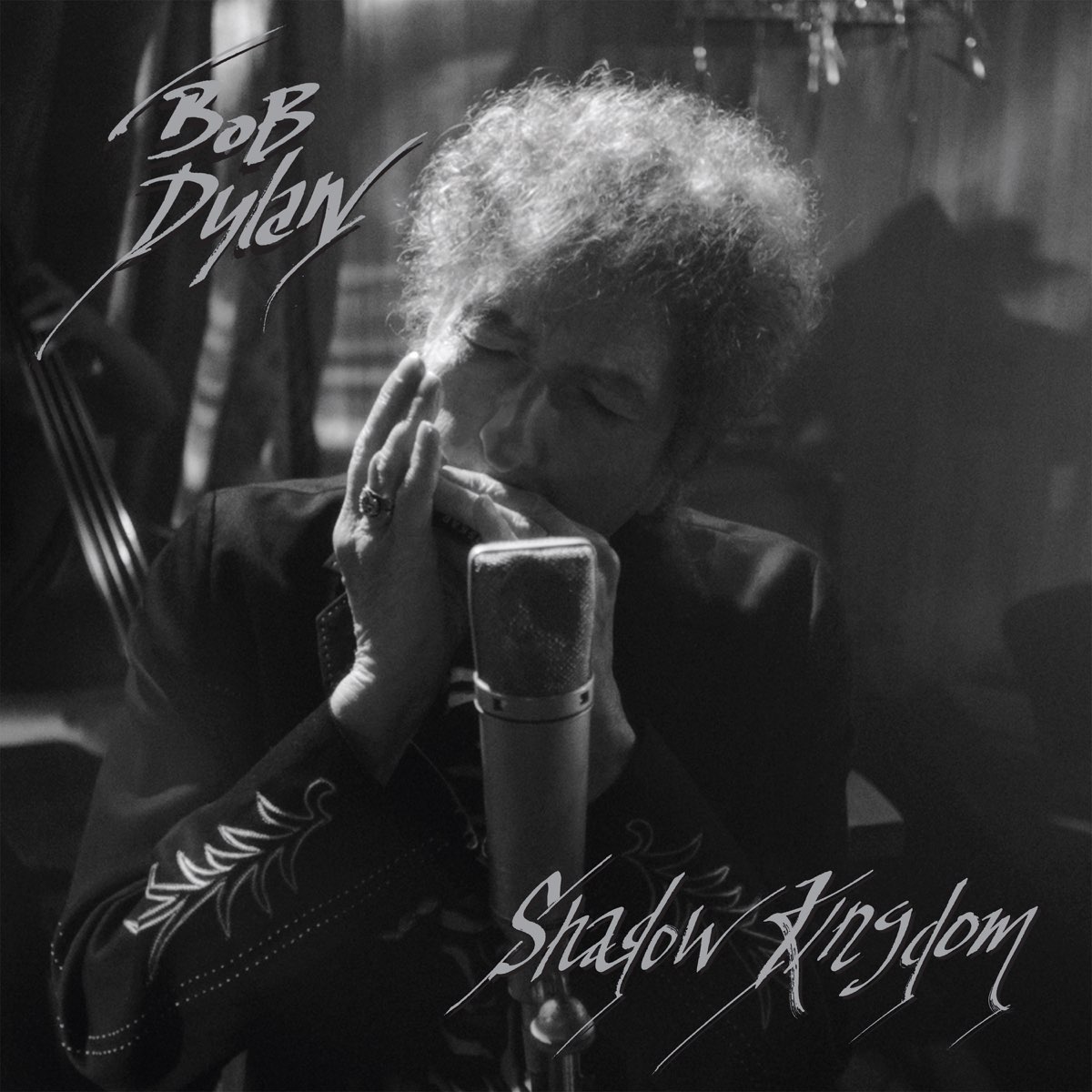 ‎Shadow Kingdom by Bob Dylan on Apple Music