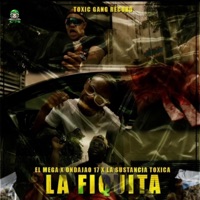La Fiquita (feat. Ondajao17 & El mega) [Radio Edit] - Single - La Sustancia Toxica