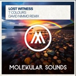 Lost Witness - 7 Colours