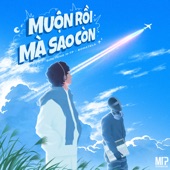 Muộn Rồi Mà Sao Còn (Remix) artwork