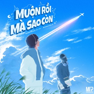 Muộn Rồi Mà Sao Còn (Remix) - Single