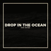 Drop In the Ocean artwork