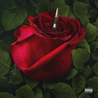 Guns & Roses (Side B) - AR FITEEN