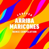 Arriba Maricones (Jace M and Toy Armada Remix) artwork