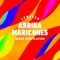 Arriba Maricones (Jace M and Toy Armada Remix) artwork