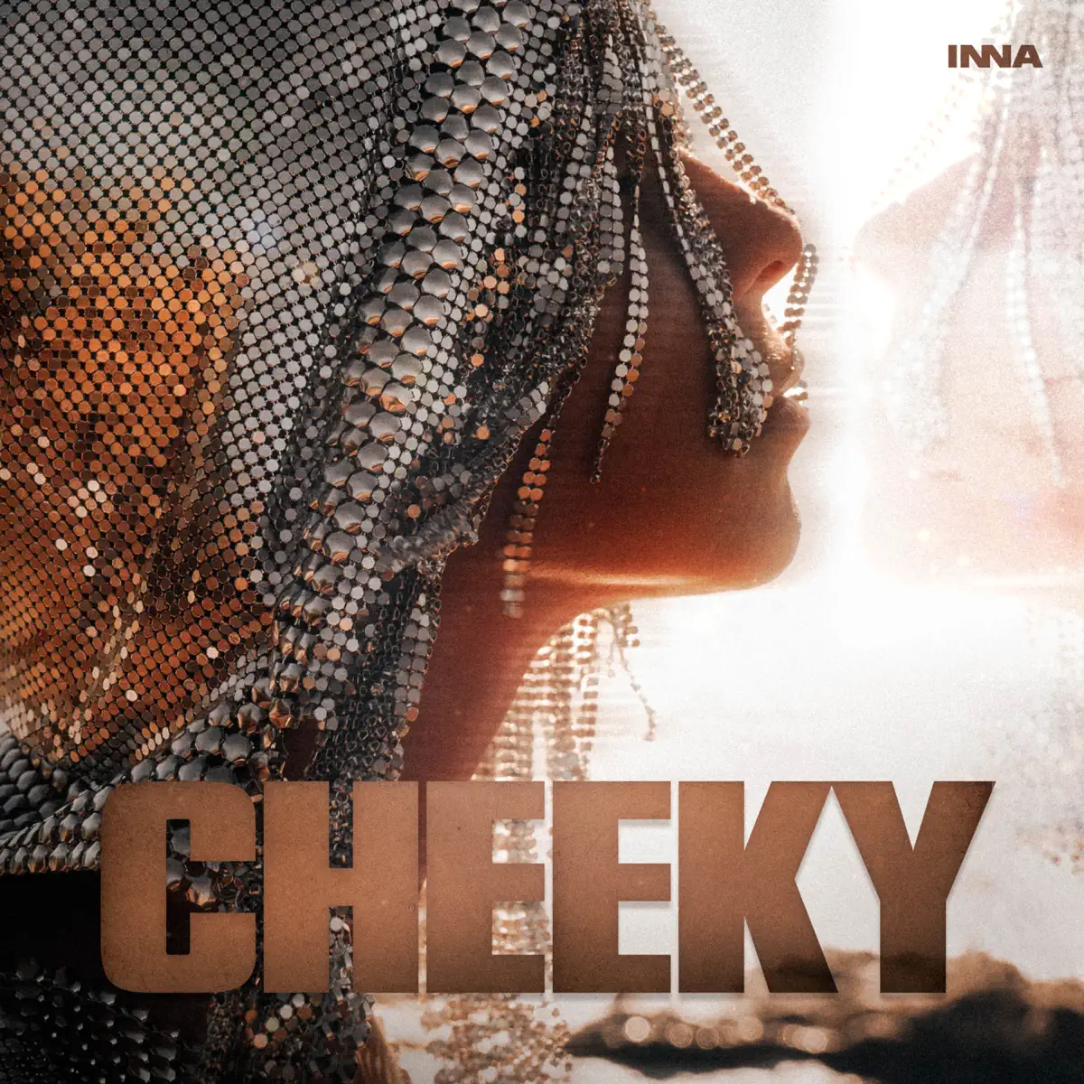 Inna - Cheeky - Single / The Love - Single (2024) [iTunes Plus AAC M4A]-新房子