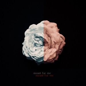 Meant For Me - Single