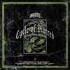 Cycle of Hatred (feat. Torn From Oblivion) - Single