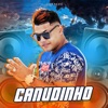 Canudinho - Single