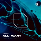 All I Want (Extended Mix) artwork