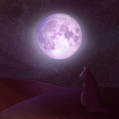 Moonlight - Single