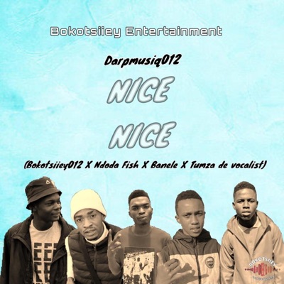 Nice nice (feat. Bokotsiiey012, Tumza de vocalist, Ndoda fish & Banele) - Single