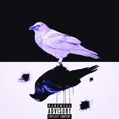 No Feelings - Single