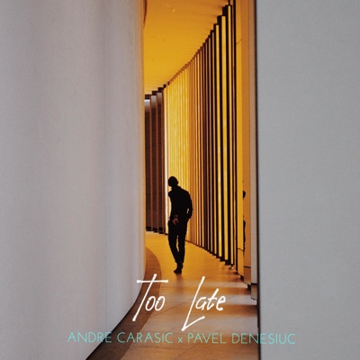 Too Late (feat. Pavel Denesiuc) - Single