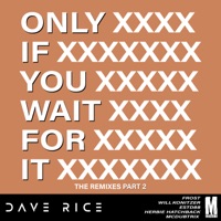 Only if You Wait for It (Will Konitzer Remix) - Single - Dave Rice & Will Konitzer