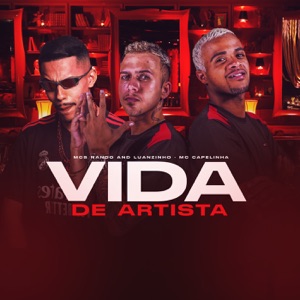 Vida de artista