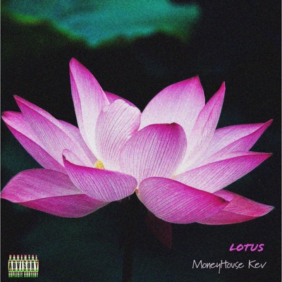 Lotus - Single