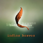 Indios Bravos