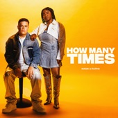 How Many Times artwork