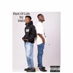 Fact of Life - EP