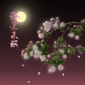 海棠未眠 (民乐版)