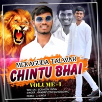 Mekaguda Talwar Chintu Bhai Volume (1 New Song) - Single - Dj Linga
