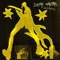steak tar tar (LVL1 remix) - Single - Shego