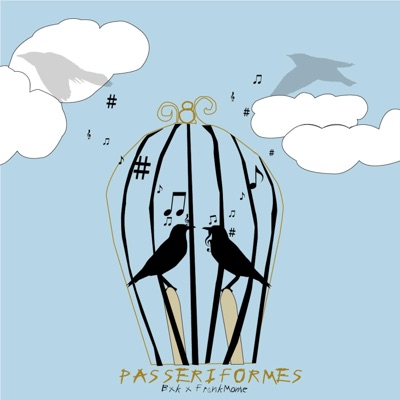 Passeriformes - Single