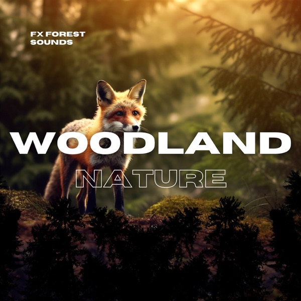 Woodland Nature, Forest Sounds