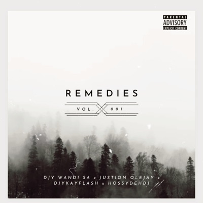 Remedies (feat. Djy Wandi Sa, Justin Olejay & Hossy deh dj) - Single