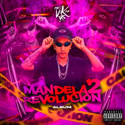 Mandela Revolution Vol.2