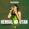 Herbal Na Utan (Sinla Remix) artwork