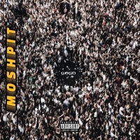 Moshpit - Single - Gogo