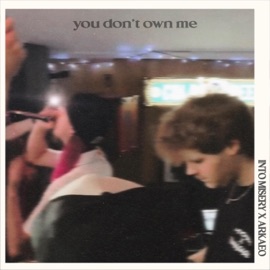 you don't own me (feat. Arkaeo) Into Misery